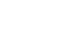 hornet-1